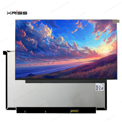 качество  13.3 Inch Touch Screen For Lenovo ThinkBook 13x ITG Notebook PC Digitizer Assembly Replacement завод